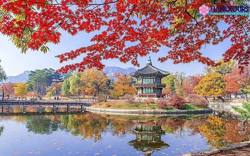 HÀ NỘI/TP.HCM – SEOUL – ĐẢO NAMI – CITY TOUR (4 NGÀY 3 ĐÊM)