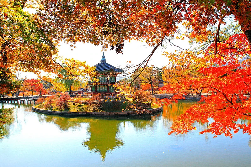 HÀ NỘI/TP.HCM – SEOUL – EVERLAND – TRẢI NGHIỆM TRƯỢT TUYẾT MÙA ĐÔNG (5 NGÀY 4 ĐÊM)