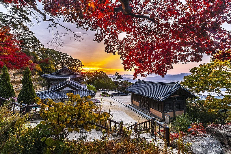 HÀ NỘI/TP.HCM – SEOUL – BUSAN – THIÊN ĐƯỜNG ĐẢO JEJU (6 NGÀY 5 ĐÊM)