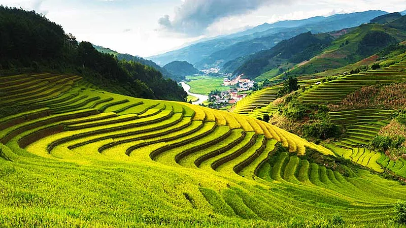 https://cdn.dulich24h.comCẩm nang du lịch bản Tả Van – Lao Chải (Sa Pa): Thung lũng Mường Hoa và những homestay giữa ruộng bậc thang