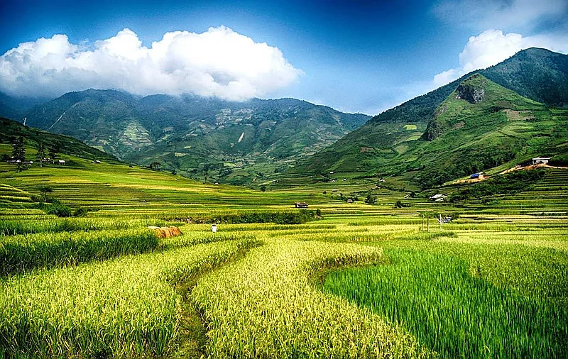 https://cdn.dulich24h.comCẩm nang du lịch Nghĩa Lộ – Mường Lò (Yên Bái): Cánh đồng rộng lớn và điệu xòe Thái