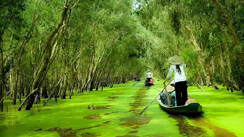 https://cdn.dulich24h.comCẩm nang du lịch An Giang 2025 – Hành hương Núi Sam, khám phá rừng tràm Trà Sư và Bảy Núi huyền bí