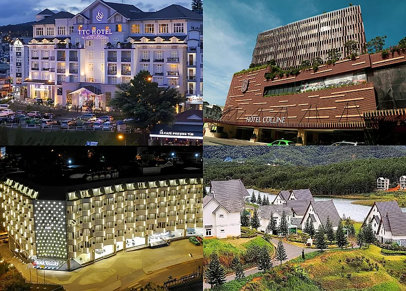 https://cdn.dulich24h.comĐịa điểm check-in nổi bật ở Đà Lạt 2025 – Điểm đến không thể bỏ lỡ