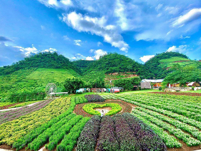 Mộc Châu 2 ngày 1 đêm – Check-in thiên nhiên & đồi chè