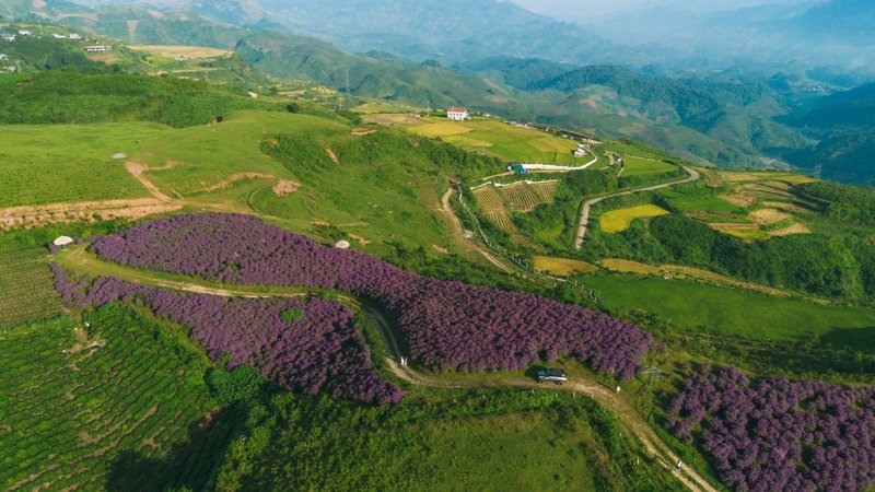 Mộc Châu 3 ngày 2 đêm – Trải nghiệm bản địa & săn mây