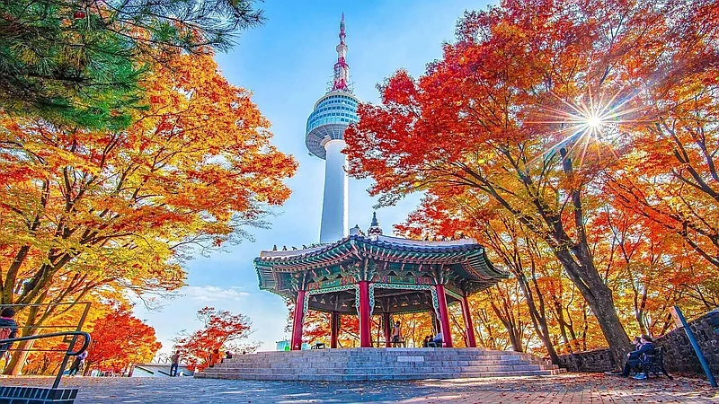 HÀ NỘI/TP.HCM – SEOUL – BUSAN – THIÊN ĐƯỜNG ĐẢO JEJU (6 NGÀY 5 ĐÊM)