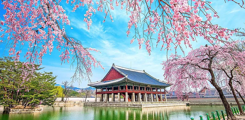 HÀ NỘI/TP.HCM – SEOUL – ĐẢO NAMI – CITY TOUR (4 NGÀY 3 ĐÊM)
