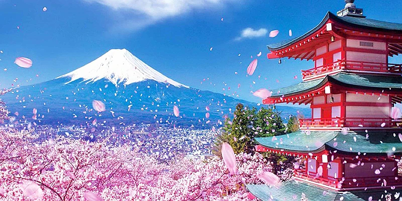 TOKYO – FUJI – KYOTO – KOBE – OSAKA: ĐẠI CUNG ĐƯỜNG VÀNG (6 NGÀY 5 ĐÊM)