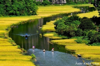 Ninh Bình 1 Ngày – Tràng An & Chùa Bái Đính