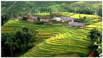Sapa 3 Ngày 2 Đêm – Trekking Cát Cát, Lao Chải, Tả Van & Chợ Phiên Bắc Hà