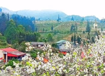Sapa – Chợ Bắc Hà 3 Ngày 2 Đêm