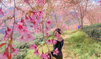 DU LỊCH Y TẾ NHẬT BẢN KẾT HỢP TẦM SOÁT UNG THƯ